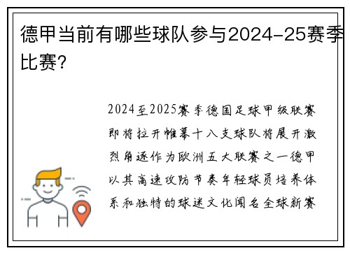 德甲当前有哪些球队参与2024-25赛季比赛？